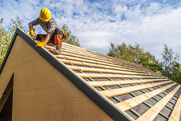 Roof Gutter Cleaning in Alton, IL